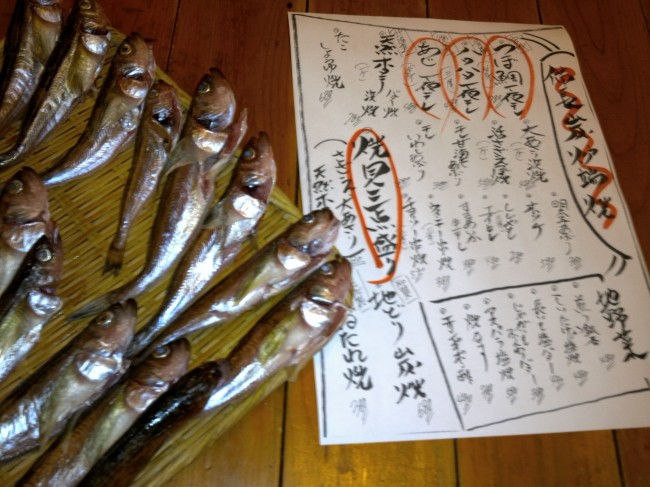 IMG00313.jpg