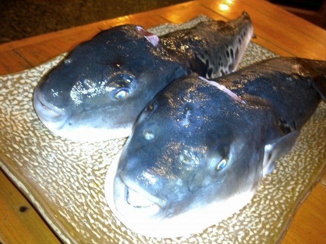 IMG00318.jpg