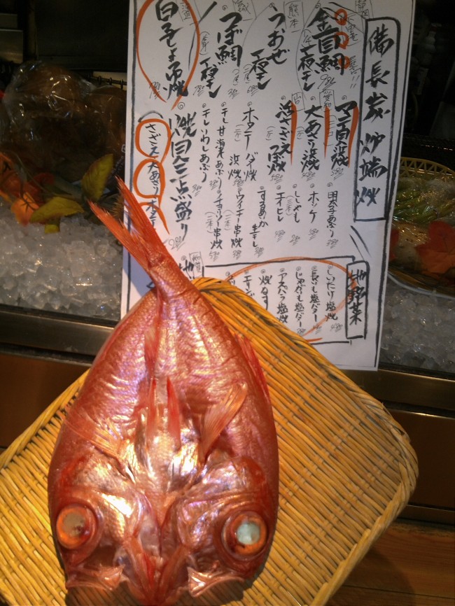 IMG00359.jpg