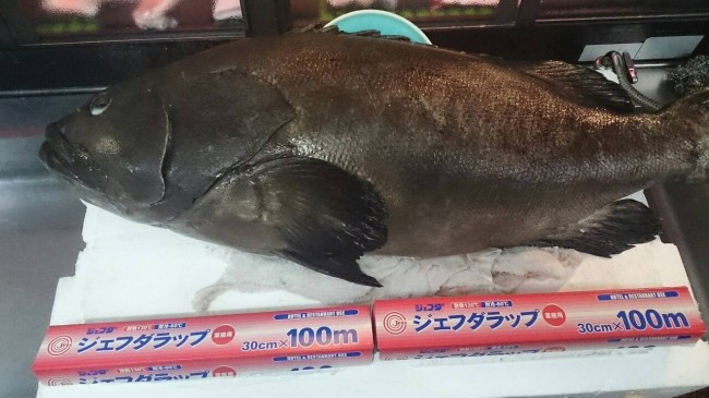 20150117_165255_3.jpeg