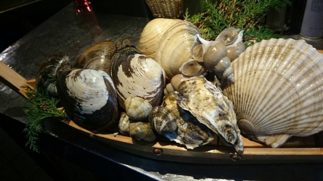 image3.JPG