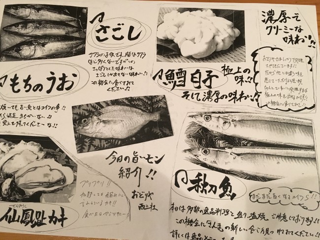 image1_9.JPG