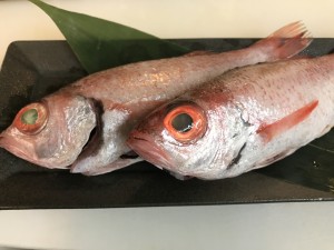 IMG_3519