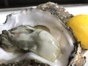9CF845C8-F614-4600-903A-24AEED3D650D