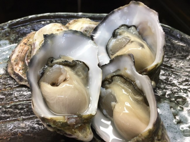 image1_4.JPG