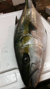 IMG_1750
