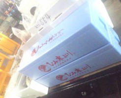 富山氷見寒ぶり