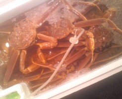 大特価！泳ぎ松葉蟹