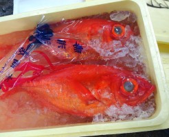 日本一の金目鯛！