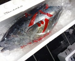 物のよさに惚れた！氷見よこわ