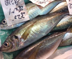 大分坂本水産の豊後あじ