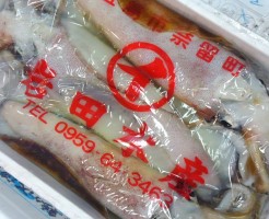 今日に限ってこんなに良いものが！「五島　あおりいか」