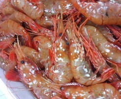 来ました！超高級海老！「北海道　ボタン海老」＆「石川　甘えび」