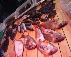 亀田さんの活け物台