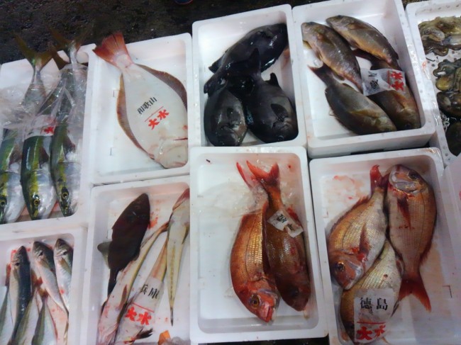 今日は活け物が豊富で