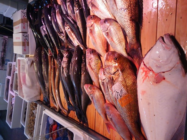 一般物はマダマダ少ないですが、活け物が豊富で種類も出てきました