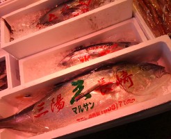 一万分の一の魚「長崎　青タン」