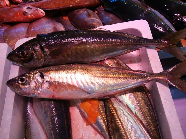 日に日によくなってきています「愛媛　活けあじ」