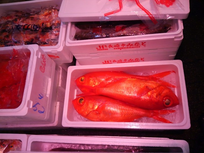 見た目は静岡産!?「高知 金目鯛」