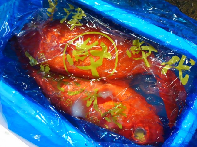 「静岡丸紋水産　天龍金目鯛」