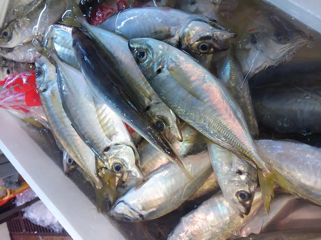 全店で大好評！！！「淡路　カネマサのとつかあじ」