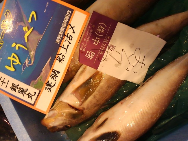 北海道船上活け〆のほっけ
