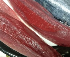 市場唯一？の直送品「気仙沼　大森水産の鰹」