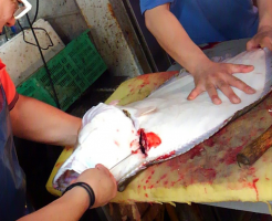 screenshotshare_20140708_144222