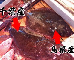 s-平目千葉＆島根