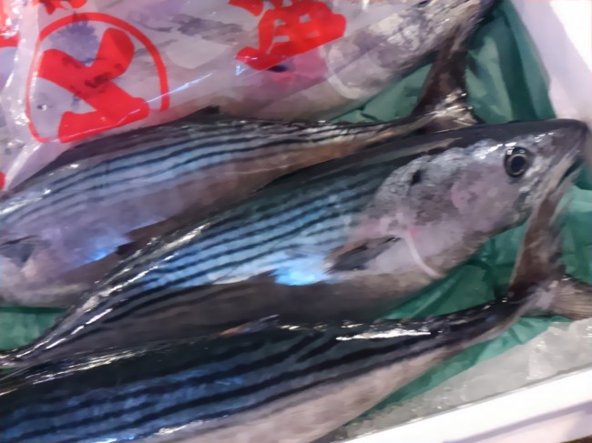 鮮度が命!「宮城 はがつお」