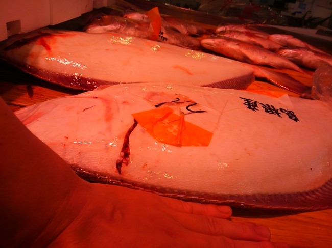 「島根 天然平目」