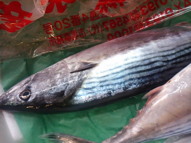 岩手　はがつお」