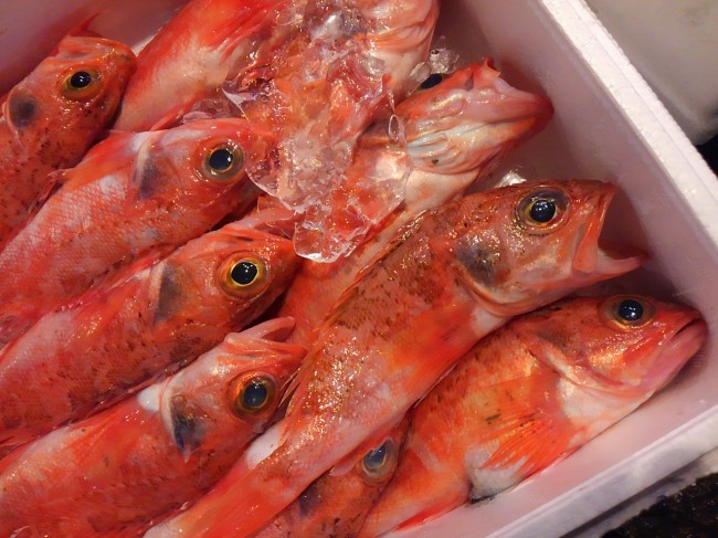 「静岡　ユメカサゴ」はあまりこちらでは見かけない魚。