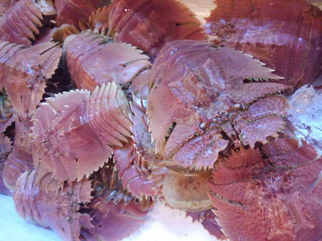 「長崎　うちわ海老」