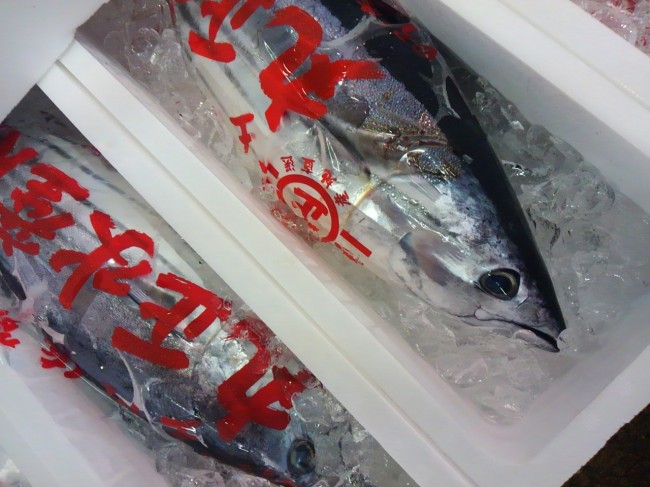 今日一つ目の特選素材は「高知 かつお」