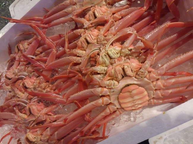 こちらは一足先に解禁しています「北海道 勢子蟹」