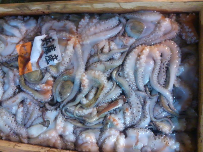 明石　井元水産の蛸