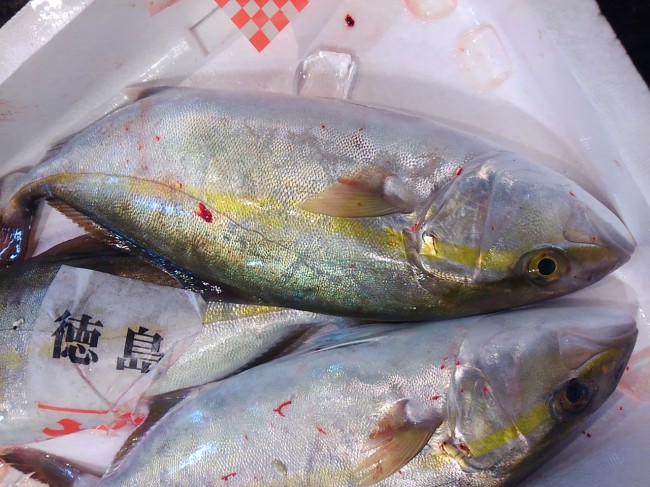 「徳島　天然シオ」