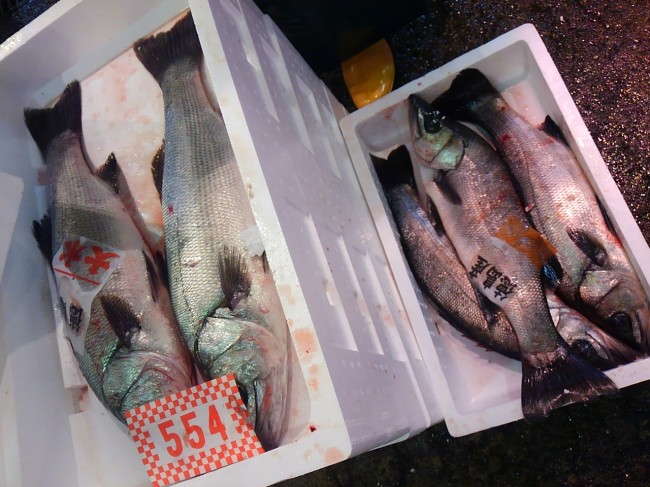 今日も絶好調！「徳島モス」