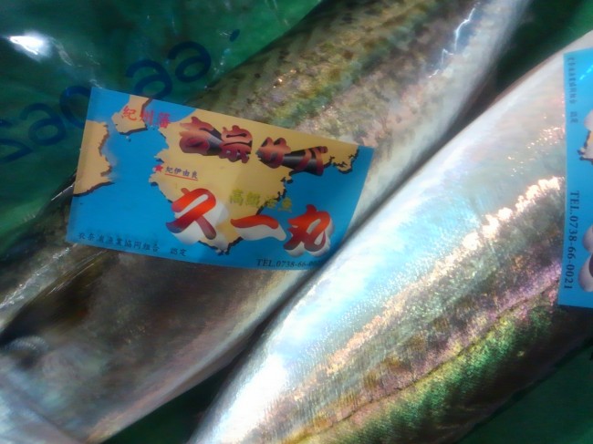 「和歌山 吉宗鯖」