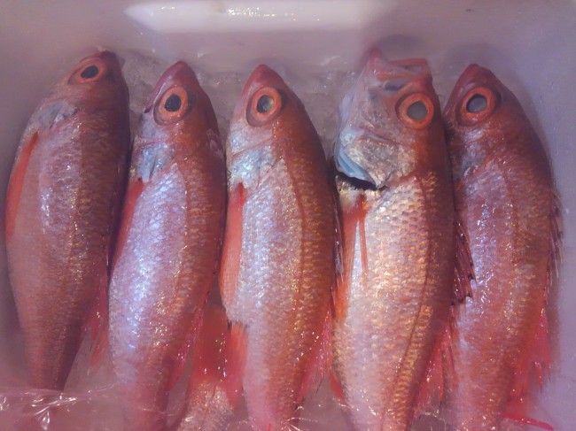 「長崎 のどぐろ 紅瞳」