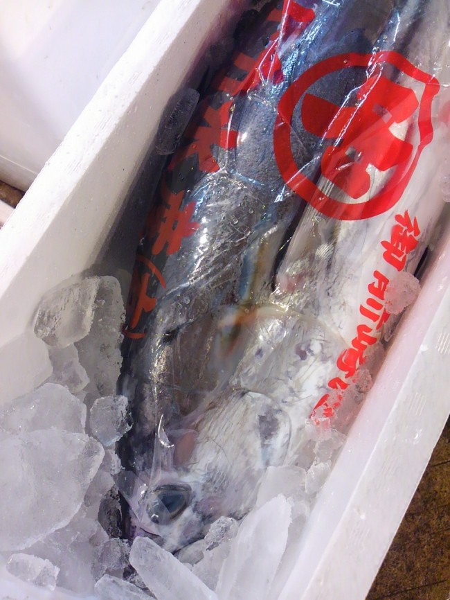 初がつお