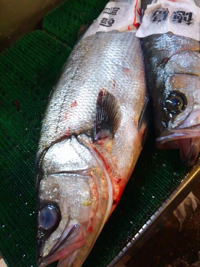 「徳島　もす」