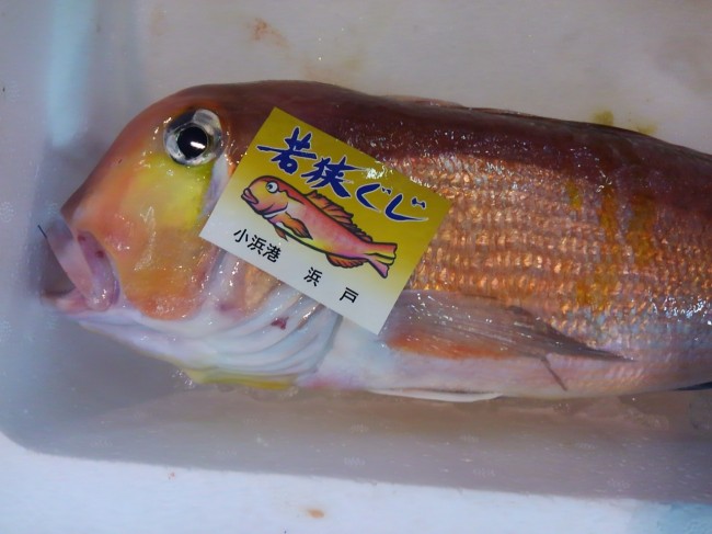 「若狭ぐじ（甘鯛）」