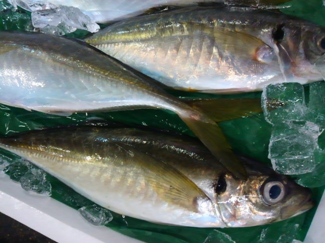 「徳島　平あじ」