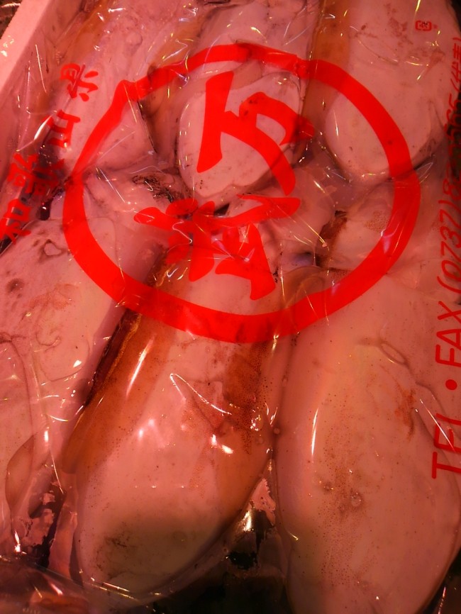 「和歌山 活けカミナリいか」