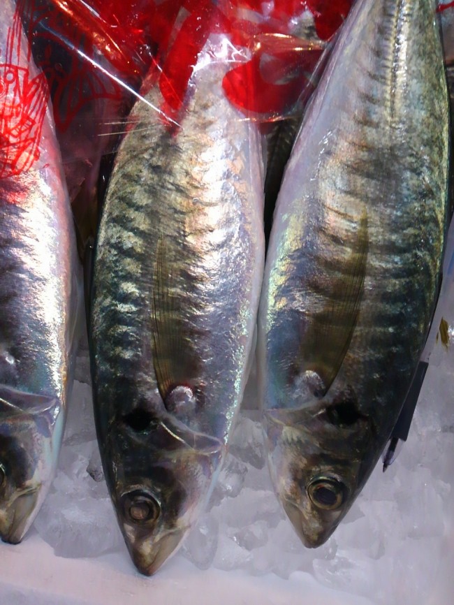 「京都 丸あじ」