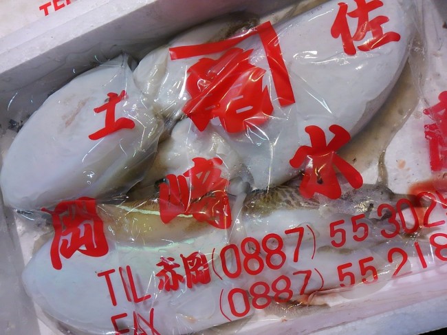 「高知 かみなりいか」