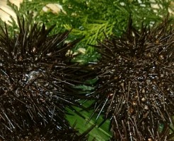 s-screenshotshare_20150618_152952