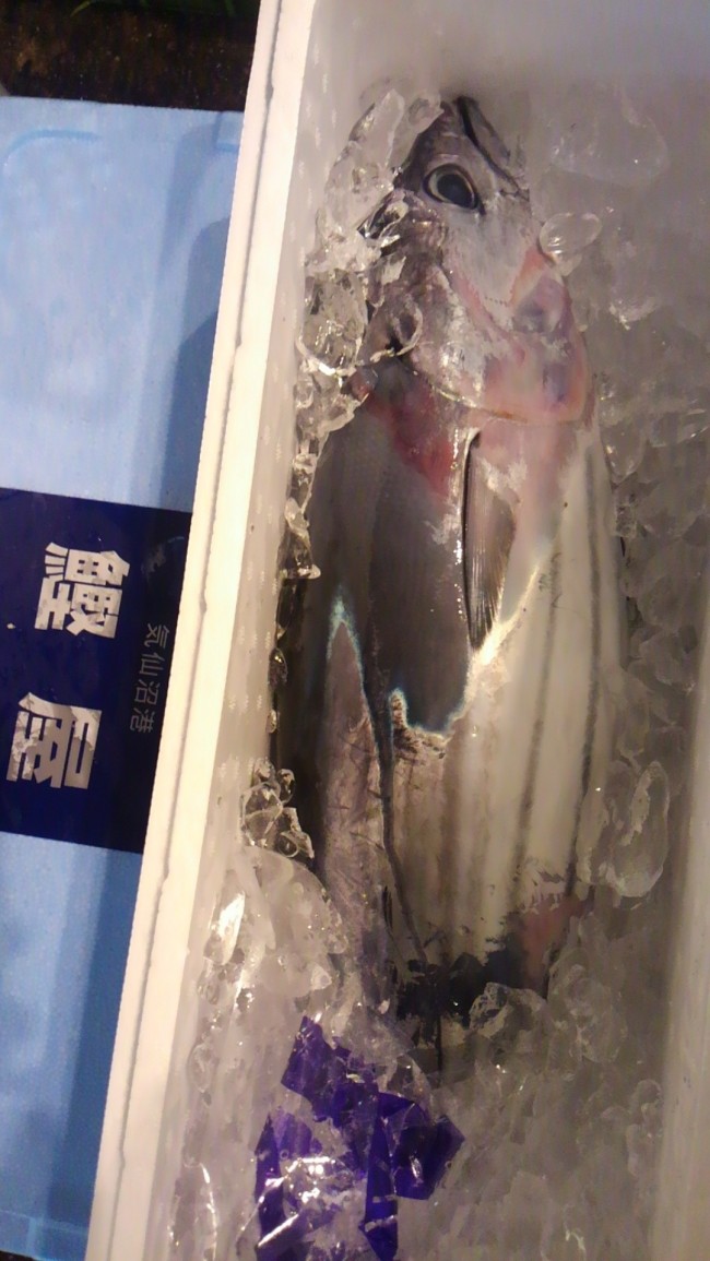  さすがの！「気仙沼　鰹屋　かつお」